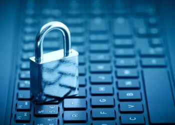 Data Privacy Determines the Future of Digital Trust